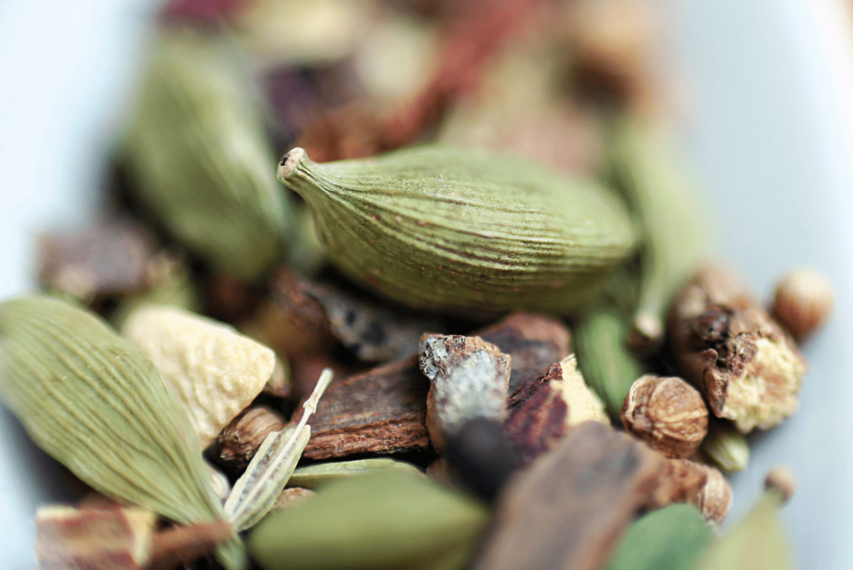 Cardamom pods and other spices, close-up