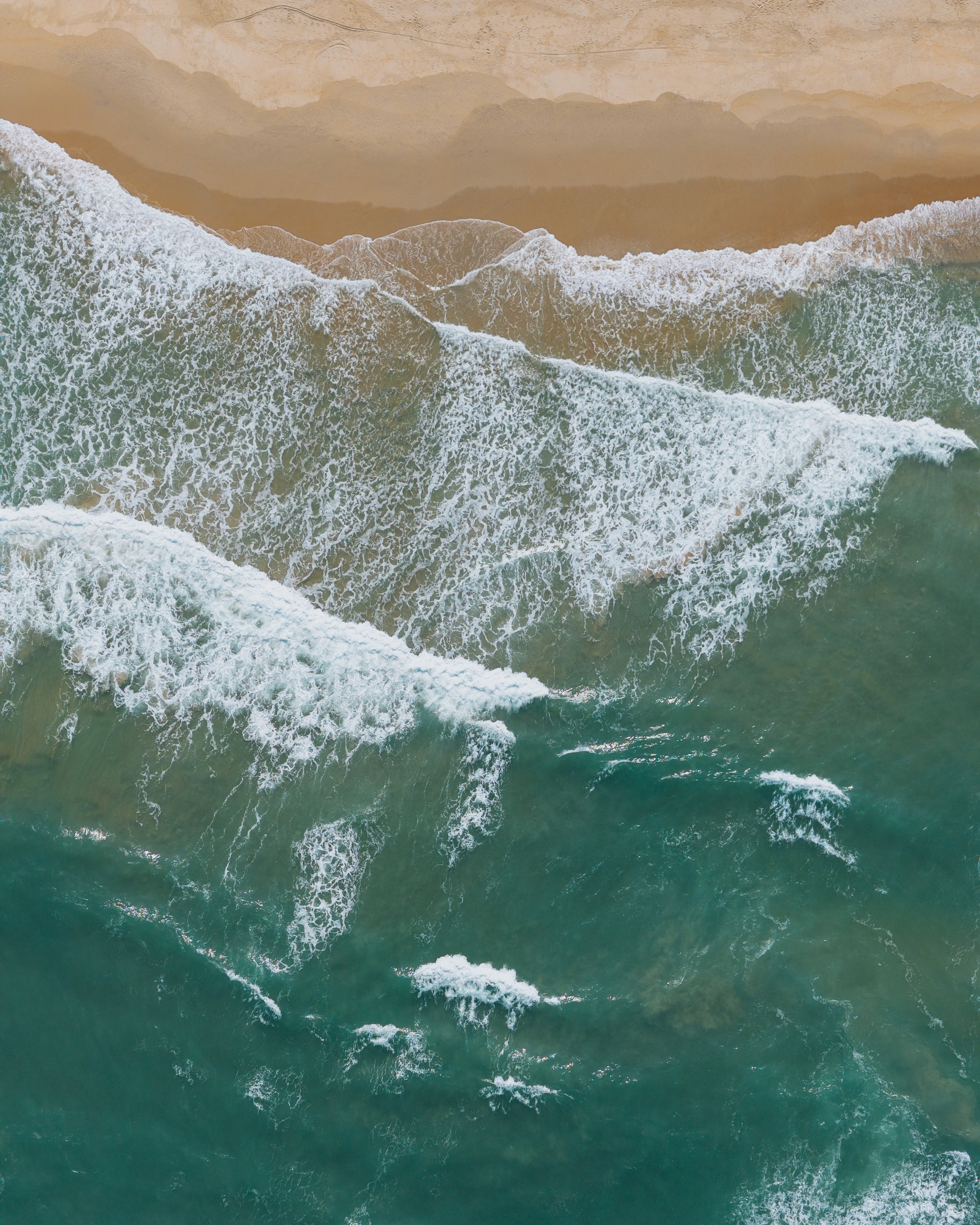 Portrait of a laughing person with curly hair wearing a white shirt