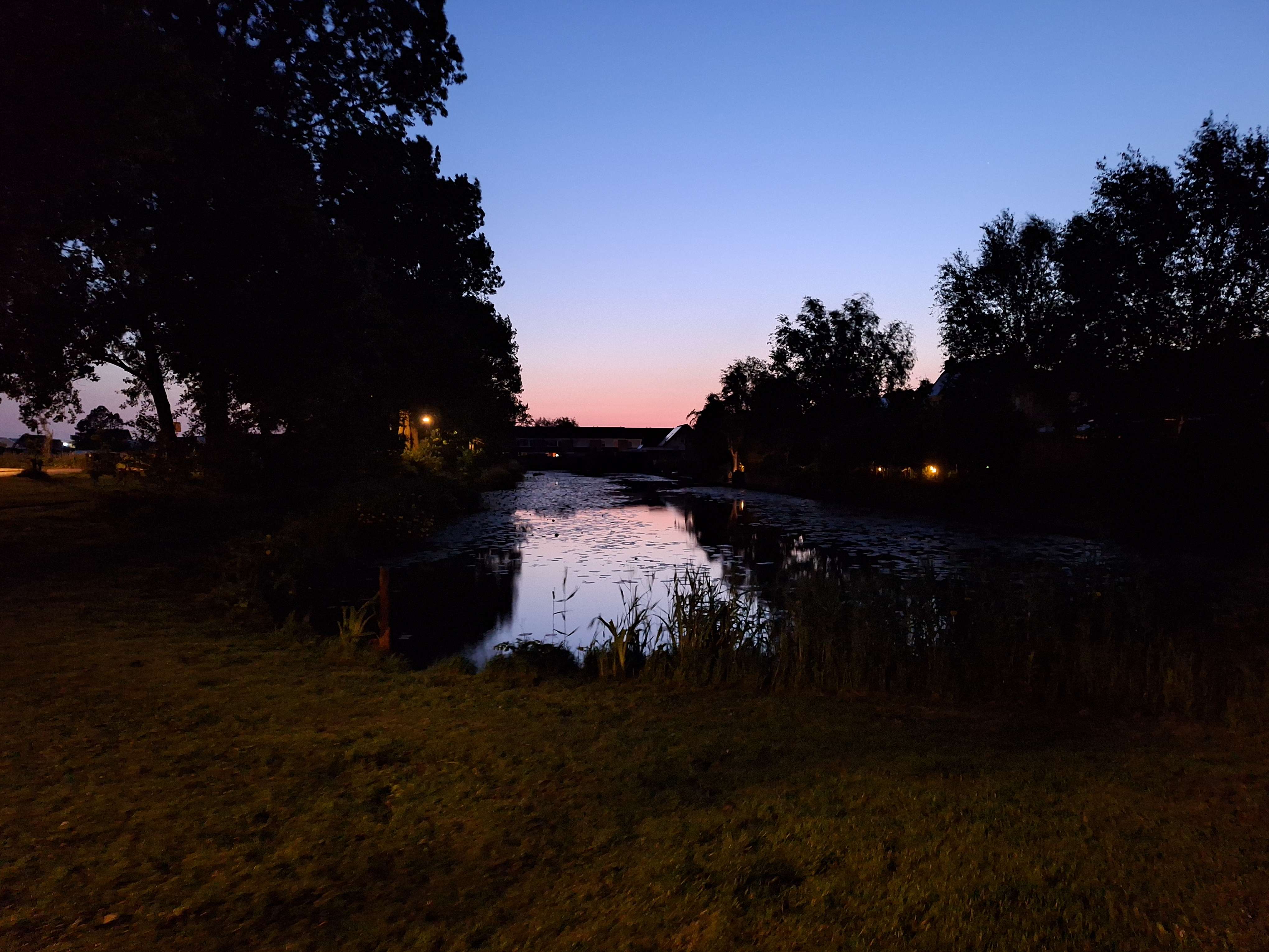 A close-up of a pink cocktail in a martini glass, set against a nighttime background with soft, blurred colors.