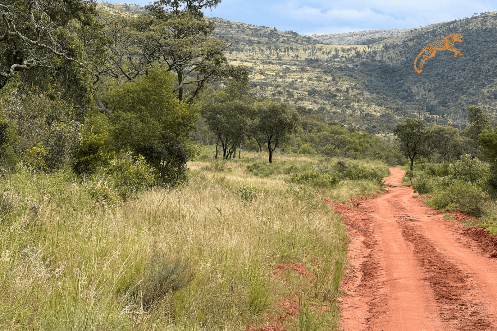 paysage sud africain avec une vallée et des montagnes, piste rouge passant au milieu