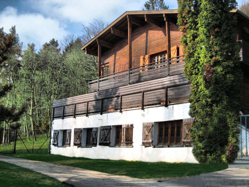Contemporary wood-clad residential building with white base, ivy-covered walls, manicured landscaping and terrace area