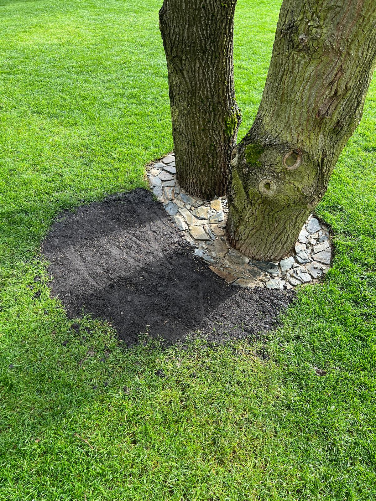 Beautiful landscaped garden with greenery and outdoor design elements.