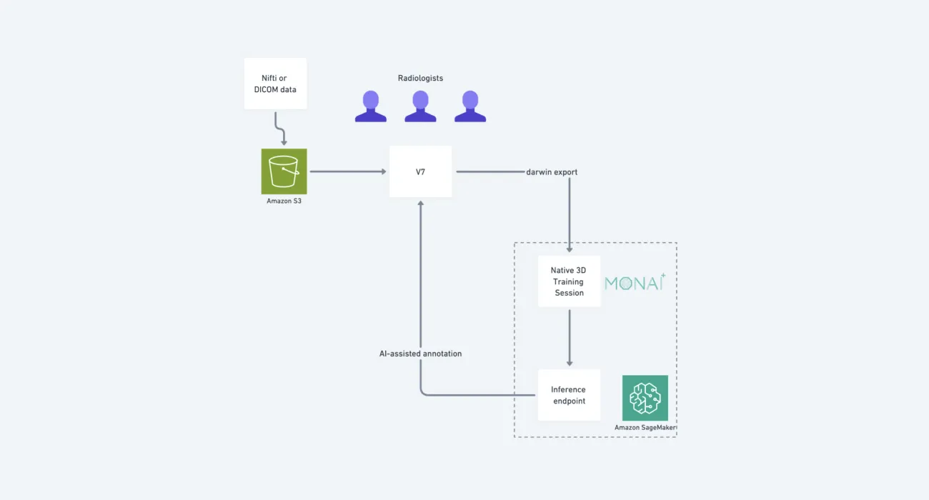 ml workflow using sagemaker v7 and monai