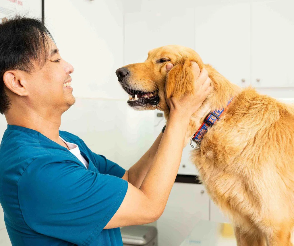 A veterinarian is petting a dog happily.