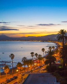 Landscaper and Landscaping gardening service template framer by real mehedi