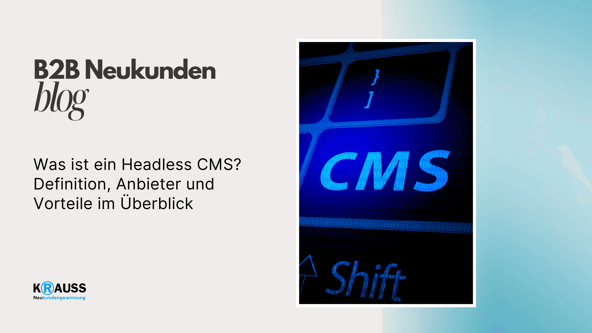 Was ist ein Headless CMS? Definition, Anbieter und Vorteile im Überblick