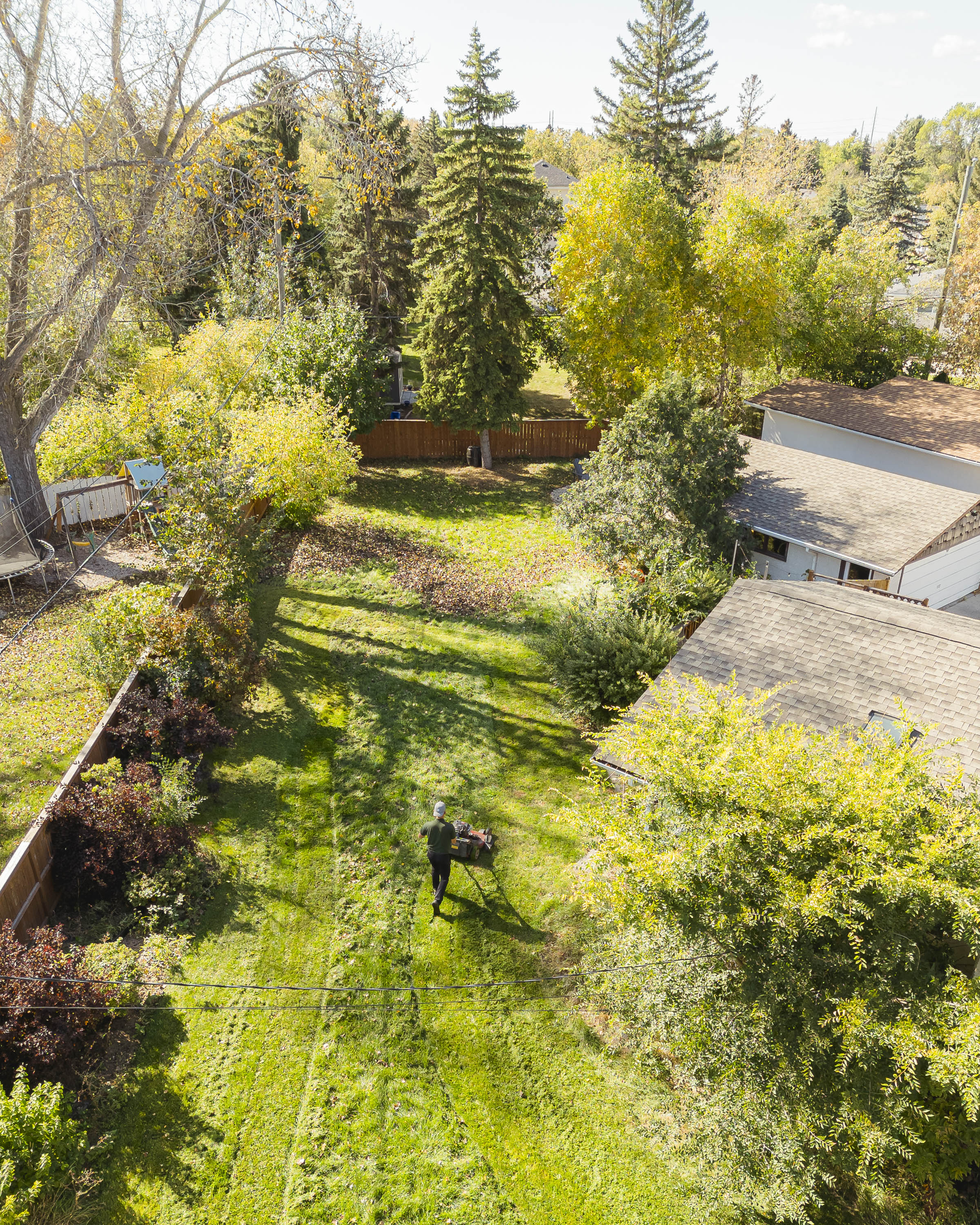 Weed control in Winnipeg