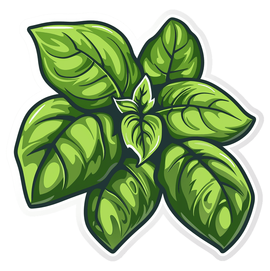 vector basil