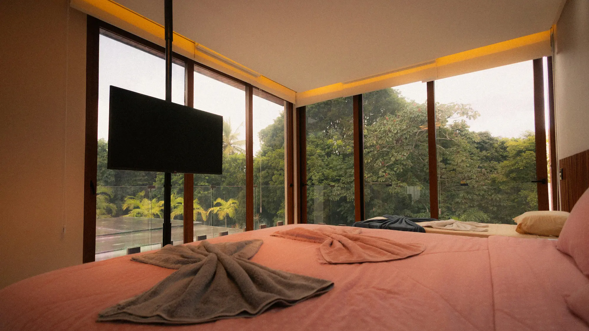 Contemporary wooden architecture featuring natural cedar cladding and floor-to-ceiling glazing