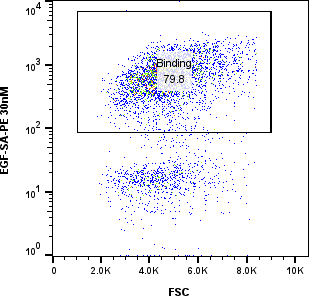 30 nM EGF EGF yeast display FACS binding plot thumbnail