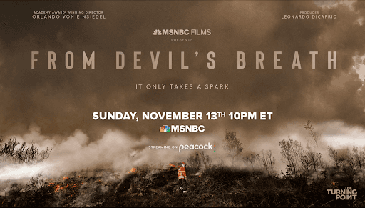 Close-up of lush, dark green leaves, some glossy and wet, against a muted background.