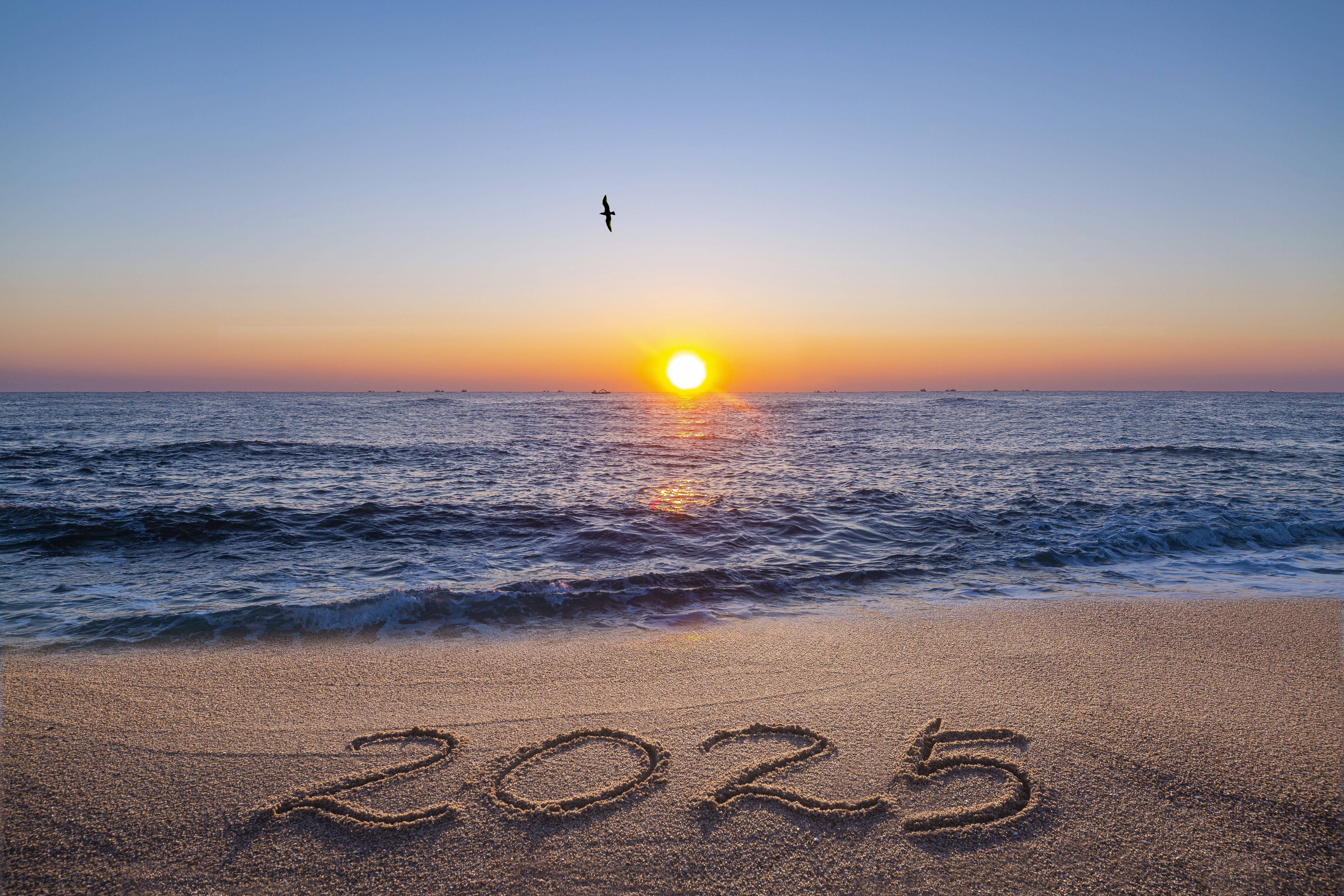  [HR 인사이트] 2025 기업 복지 최신/이색 사례 모음ㅣ 주거복지, 가족복지, 여가복지, 비혼복지