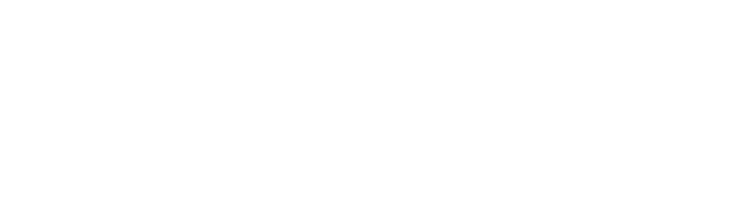 University of Texas Austin Logo