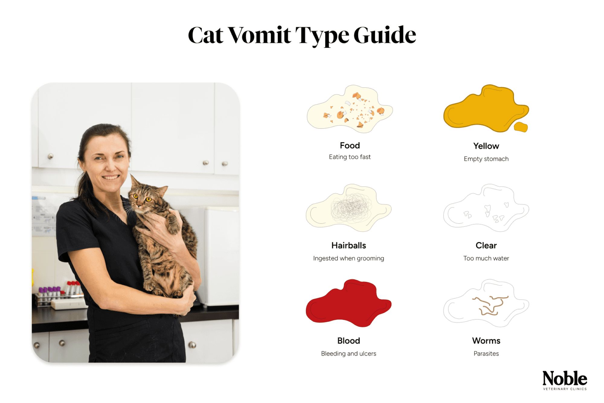Cat vomit type guide