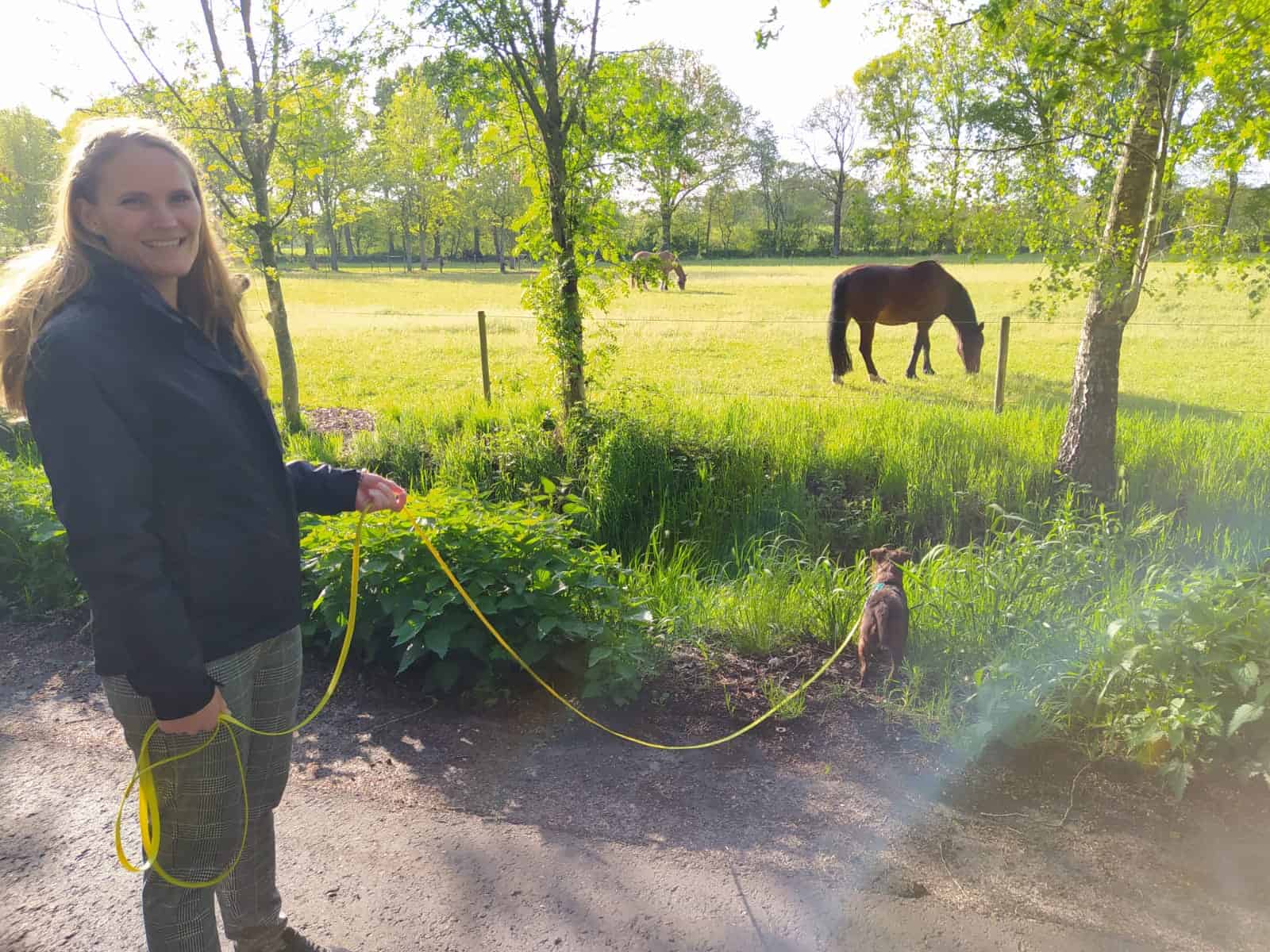 Een relaxte vakantie met je hond: de 3 belangrijkste tips