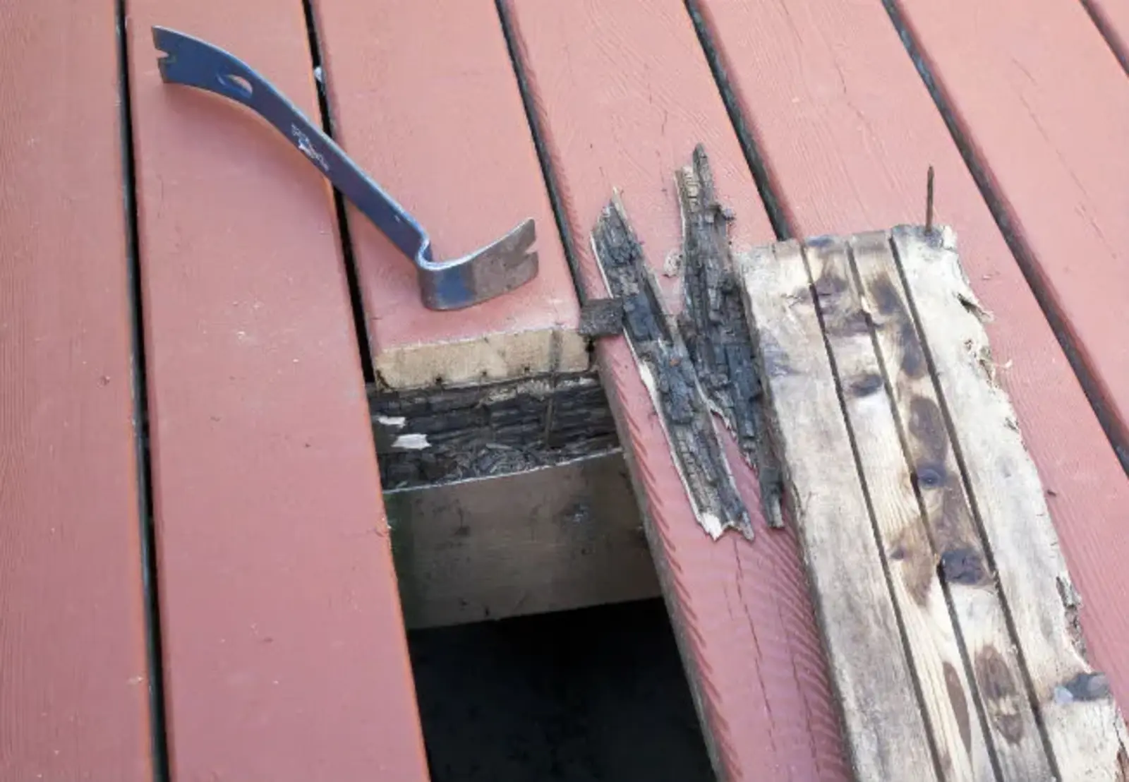 Protect Your Home: Expert Guide to Wood Rot in Marysville