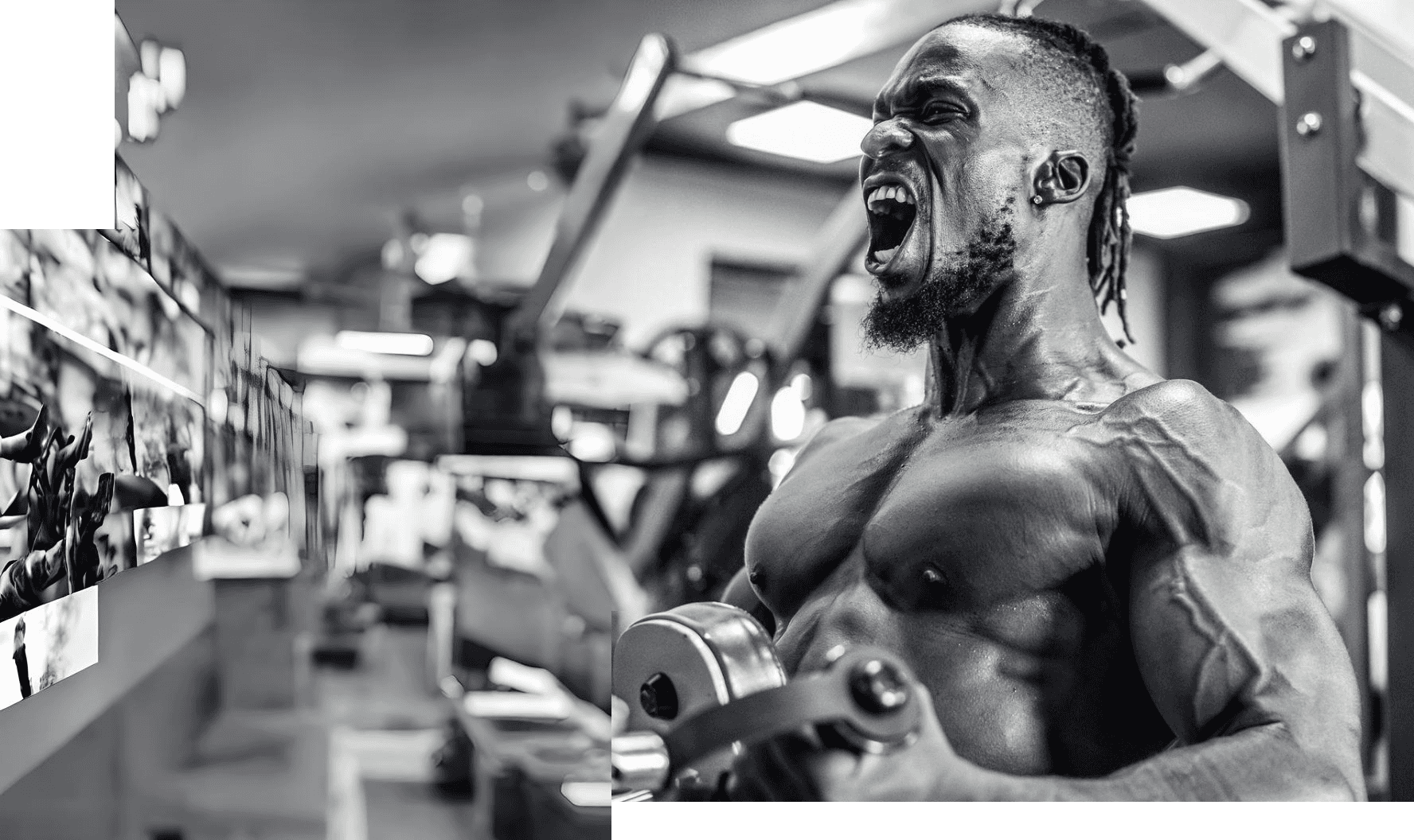 A black and white image of Alpha Wes Training