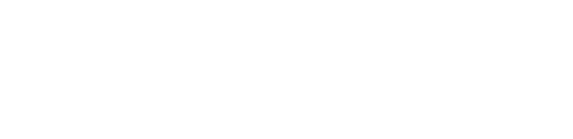 Serendipity Intelligence - Logo