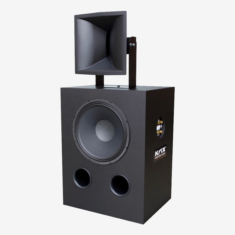 Large black speaker with horn tweeter
