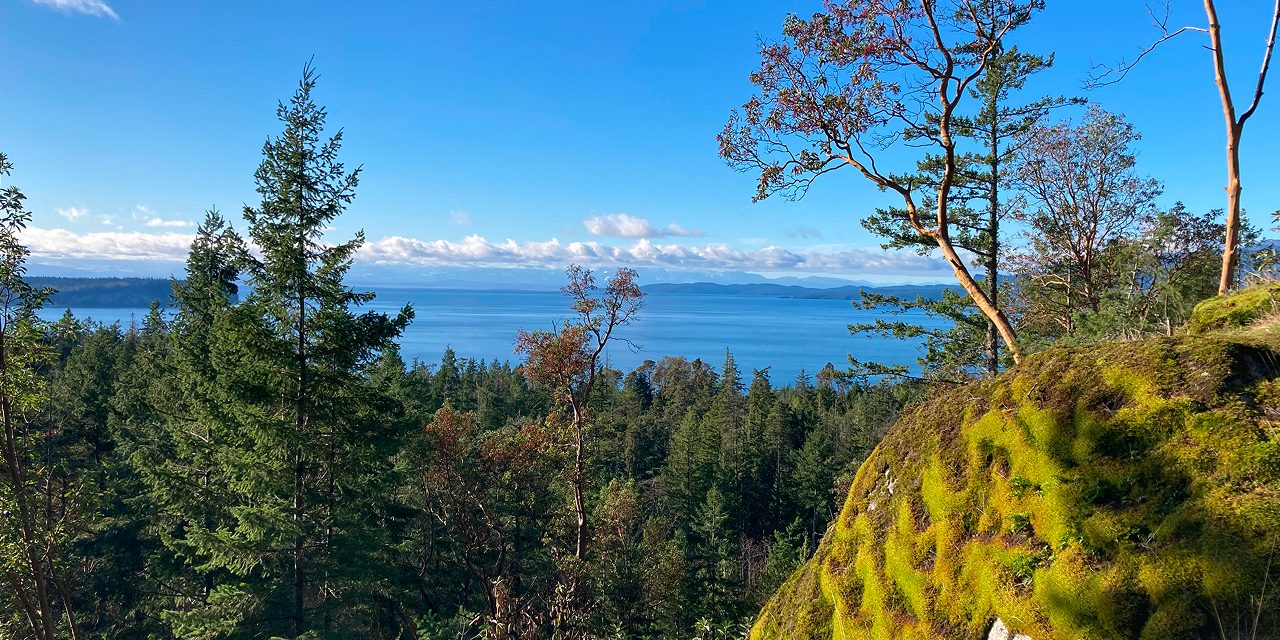 Construction access road and retaining wall excavation at Cougar Creek Dam site in Canmore with heavy equipment working among snow-dusted Rocky Mountain peaks and forest