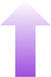 Back Arrow - Zenesen