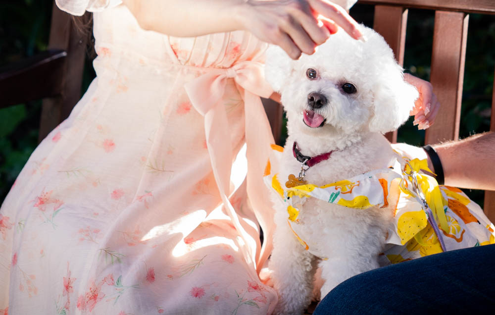 Harold Boas Garden Perth