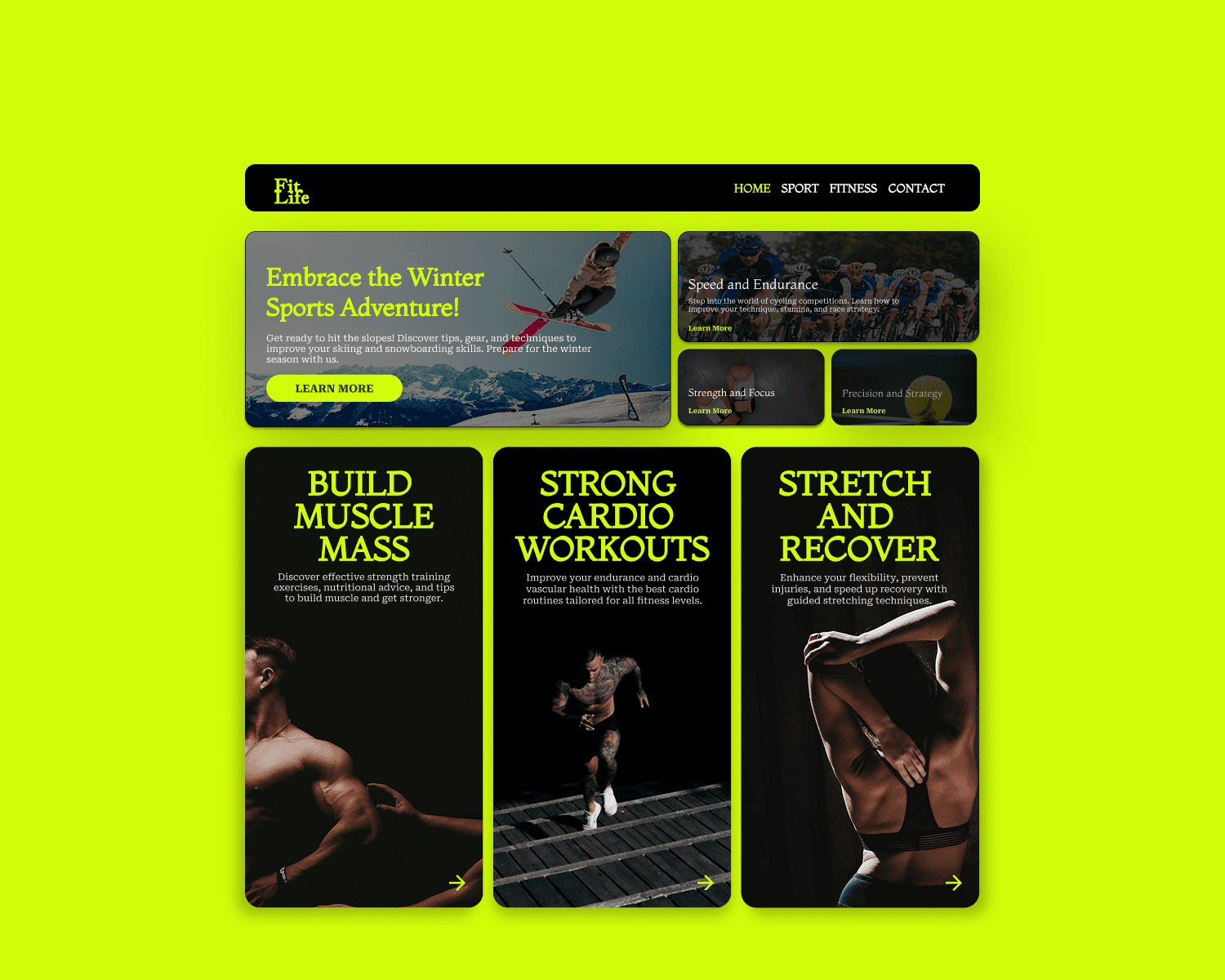 large leaf of a tropical plant