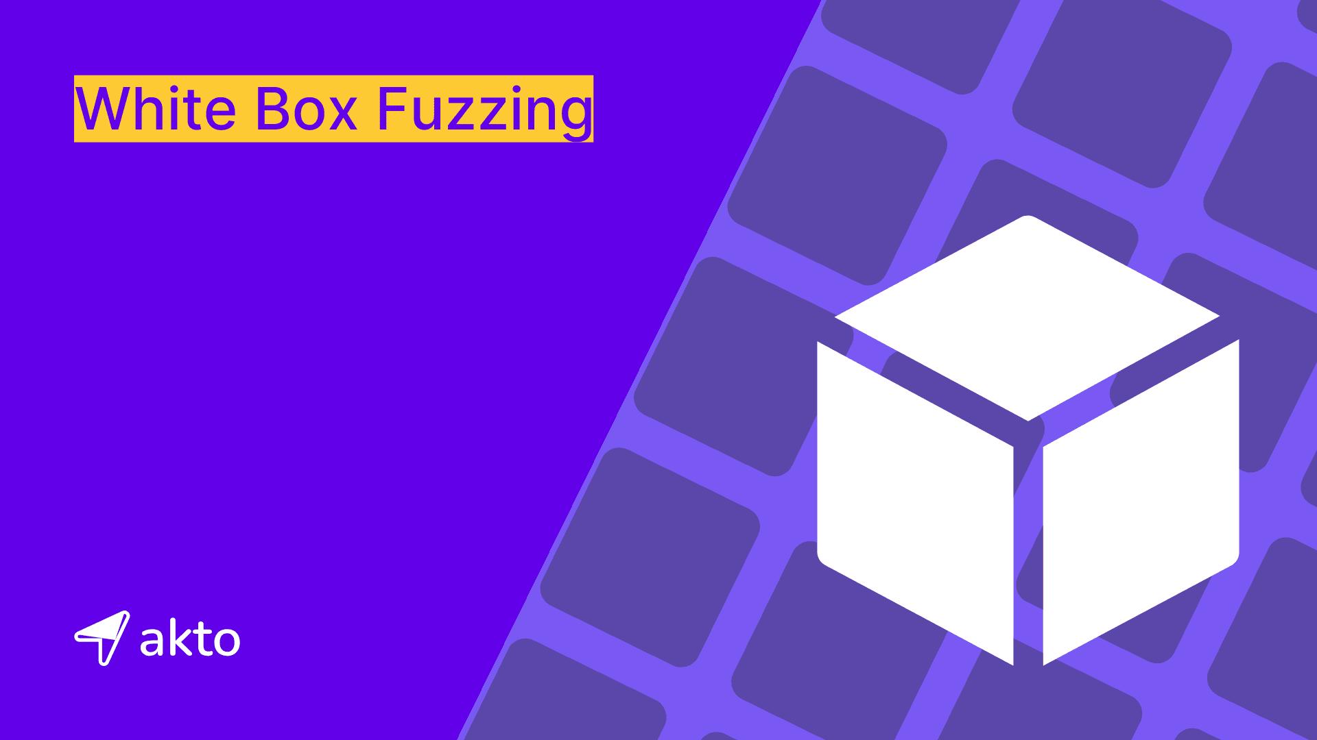 White Box Fuzzing