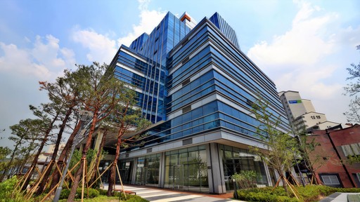 Modern office workspace with desks, computers, and a large window. A wall has pictures and drawings.