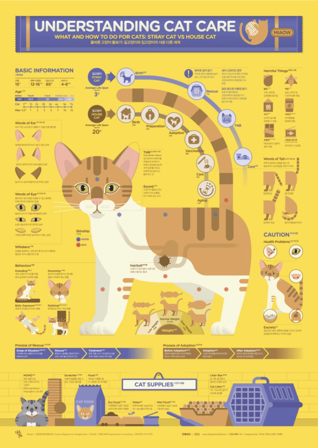 猫咪护理信息图