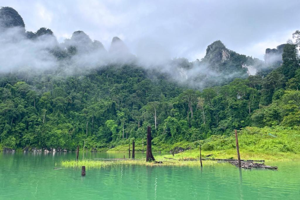 The landscape of Khao Sok, Thailand