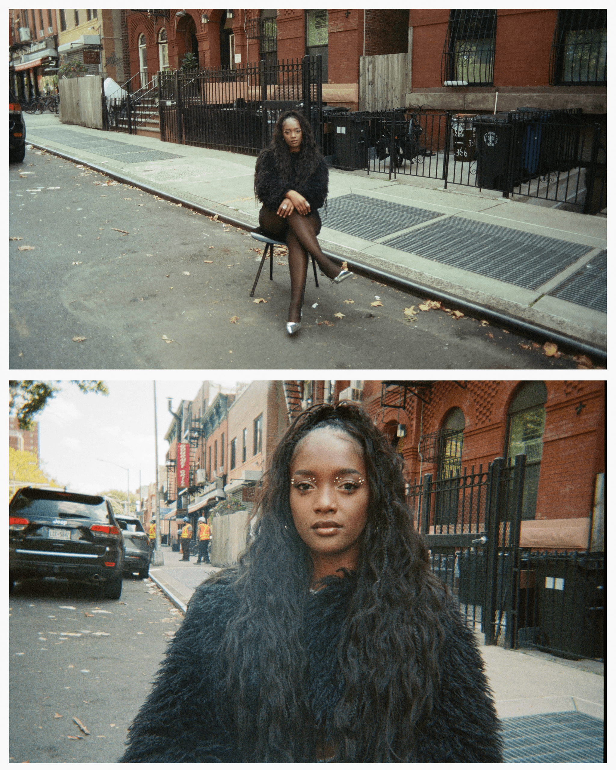 A delicate frosty plant in a winter landscape