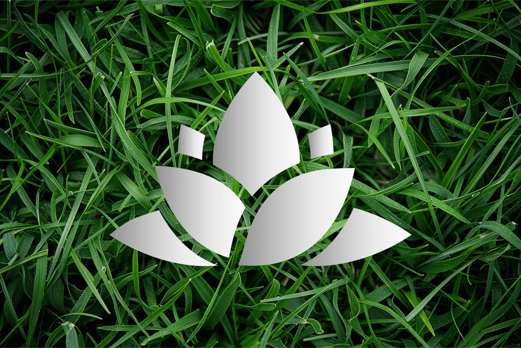 Superior Image Lawn Care contact information update Orlando FL