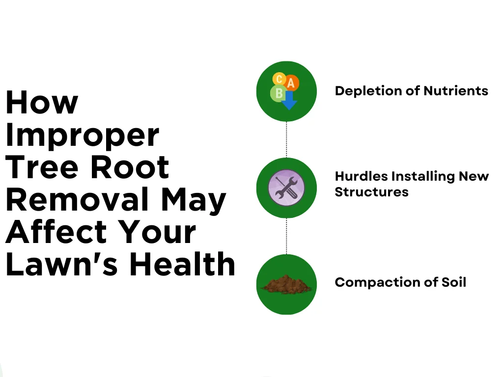 An infographic on how improper tree root removal can affect lawn health