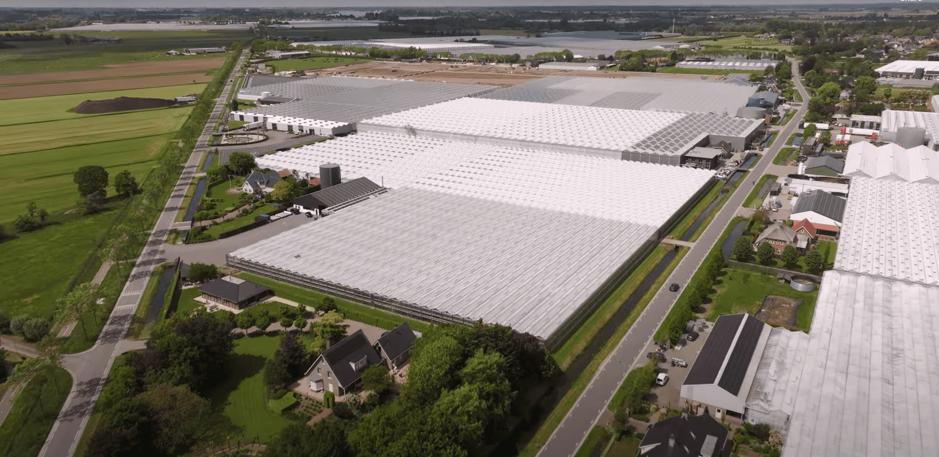 Subsidieadvies Fidus Advies