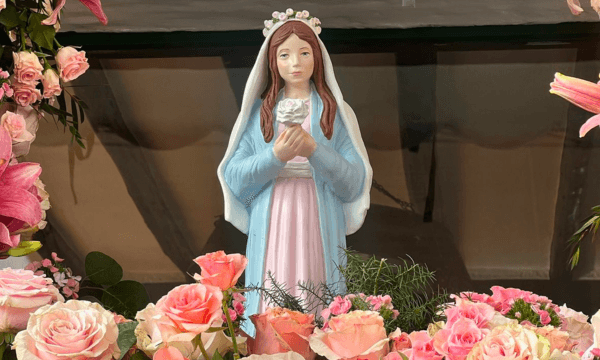 Virgen Madre de la divina gracia