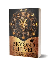 Beyond The Veil Book