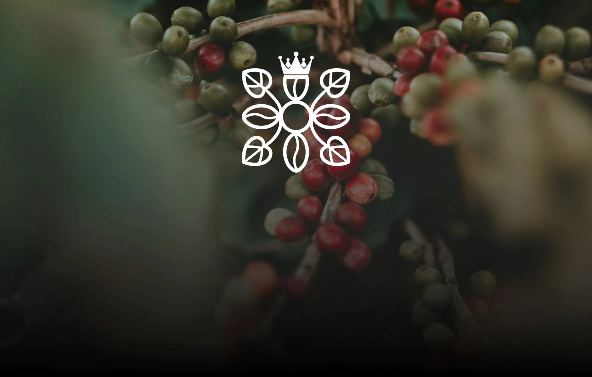 Redshift® by future things