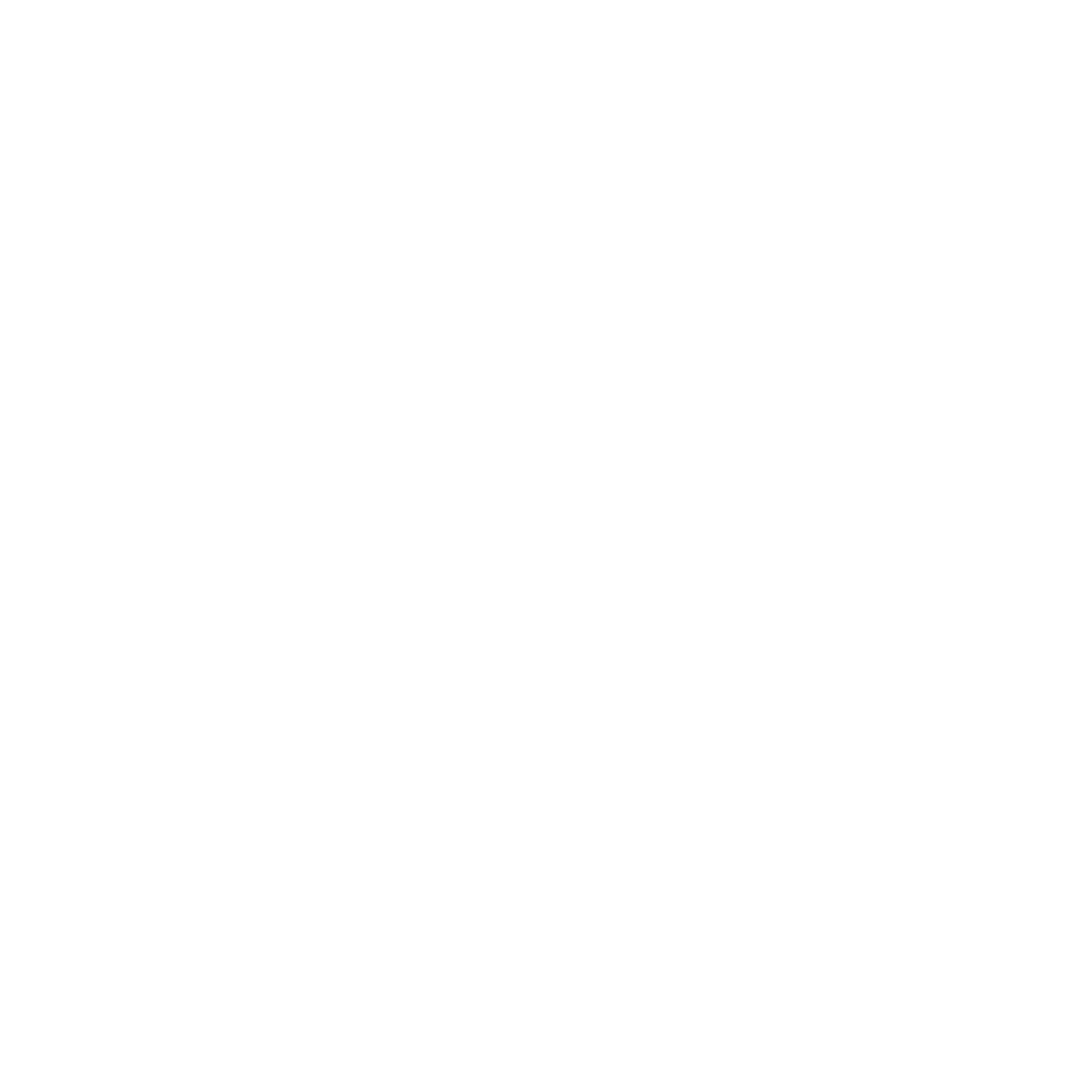 Claude Sonnet 3.5 Model