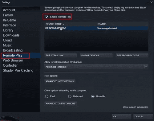 click remote play on steam