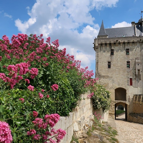 Chinon fortress