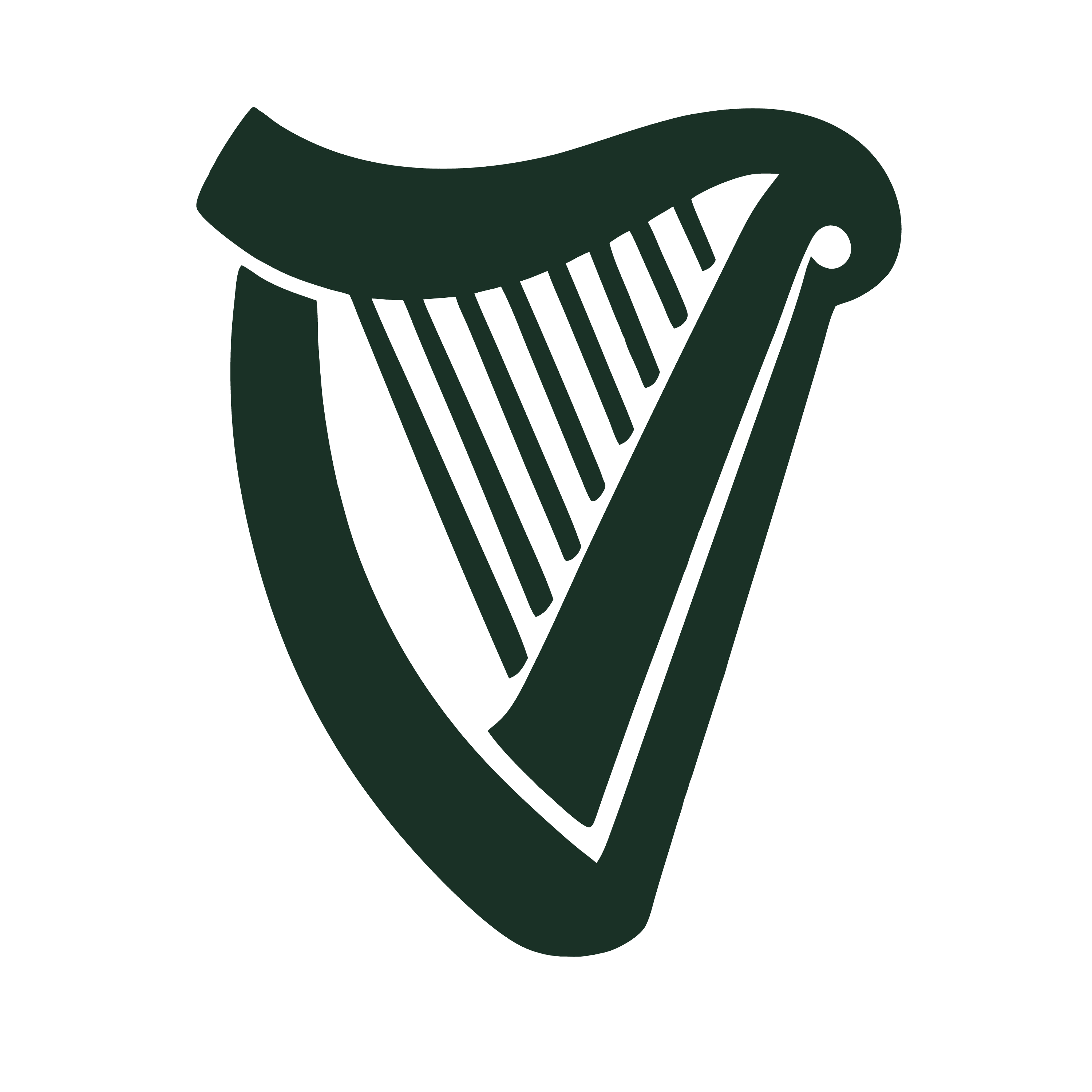 Shape Image