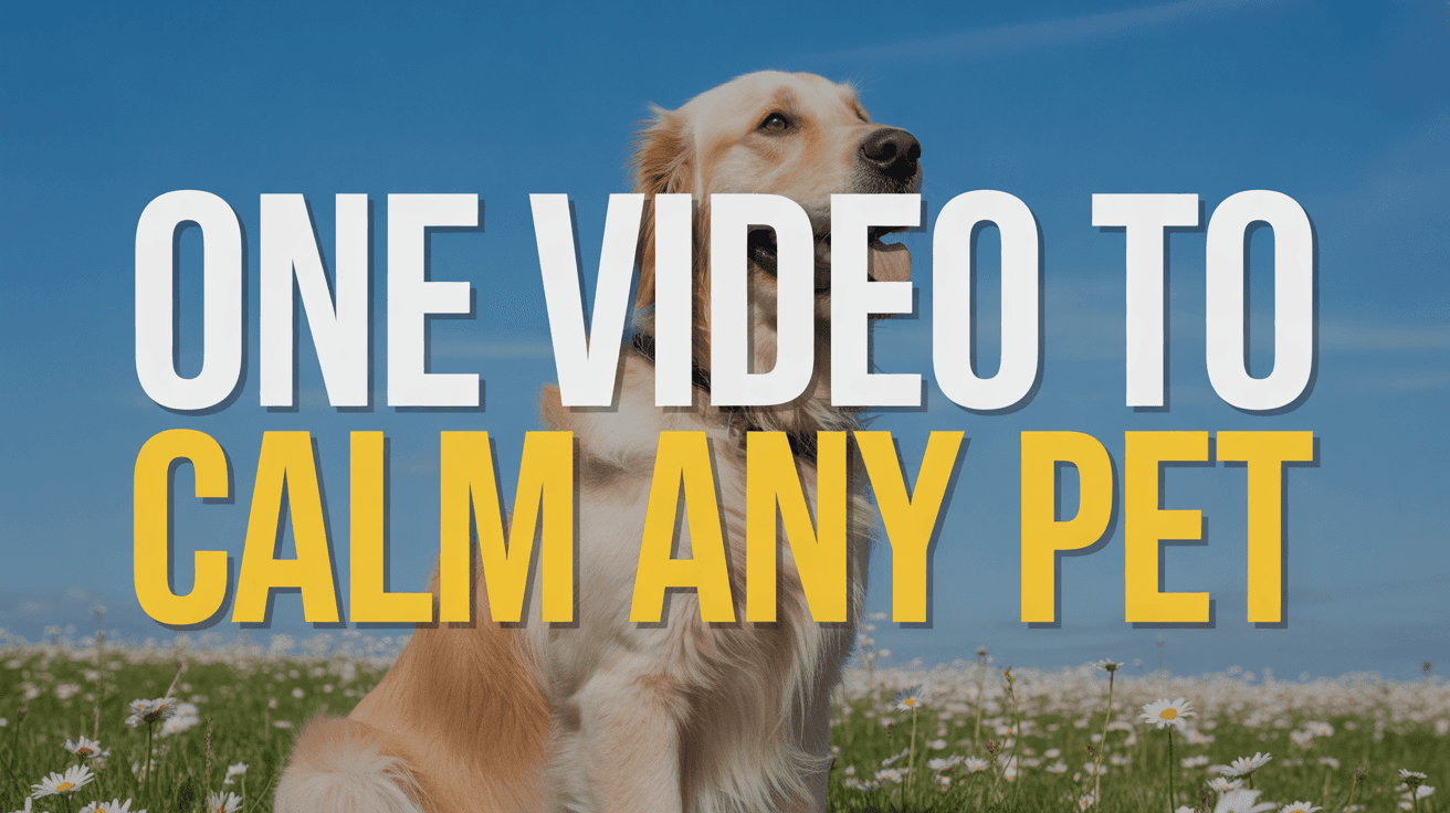 Golden retriever in a daisy field with One Video to Calm Any Pet headline over bright sky