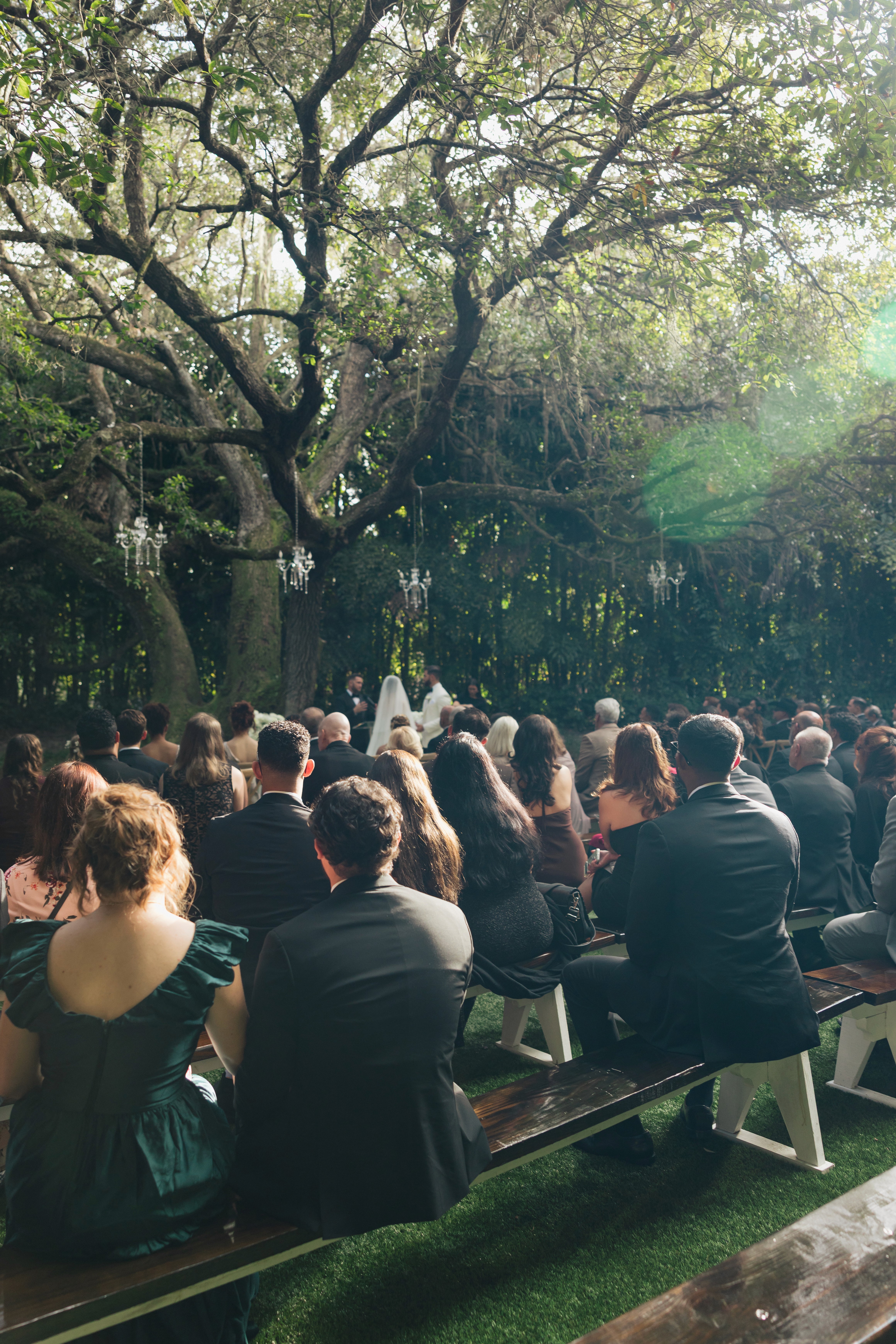     Wedding photographer South Florida captures an outdoor wedding ceremony beneath oak trees with hanging chandeliers.