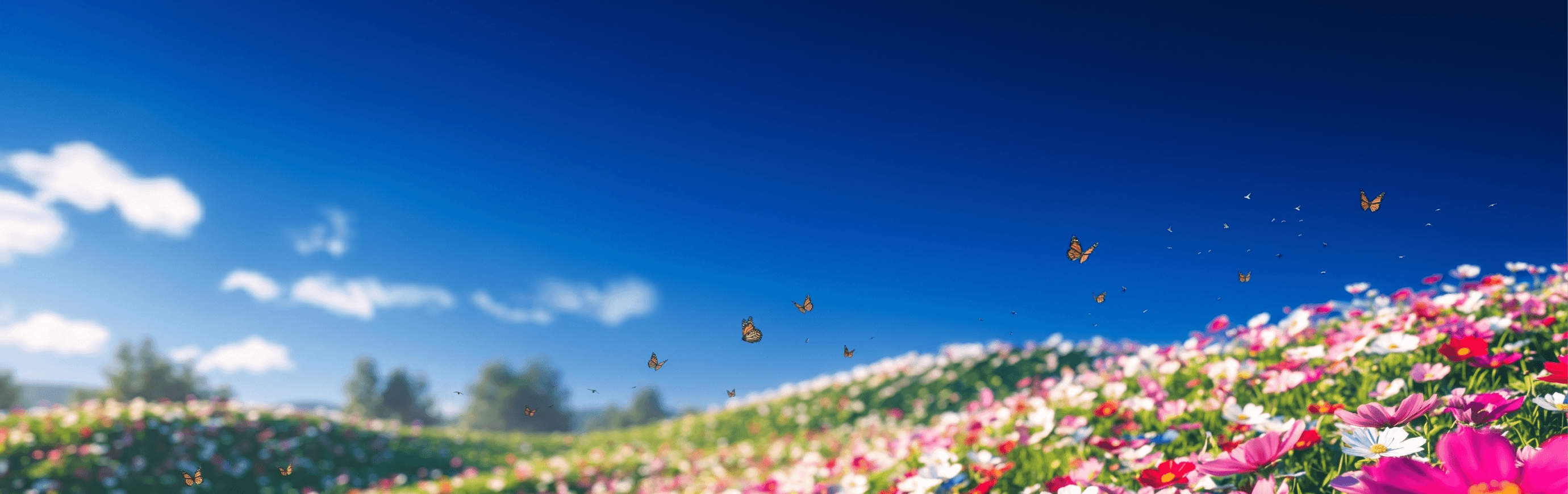 image of flowers