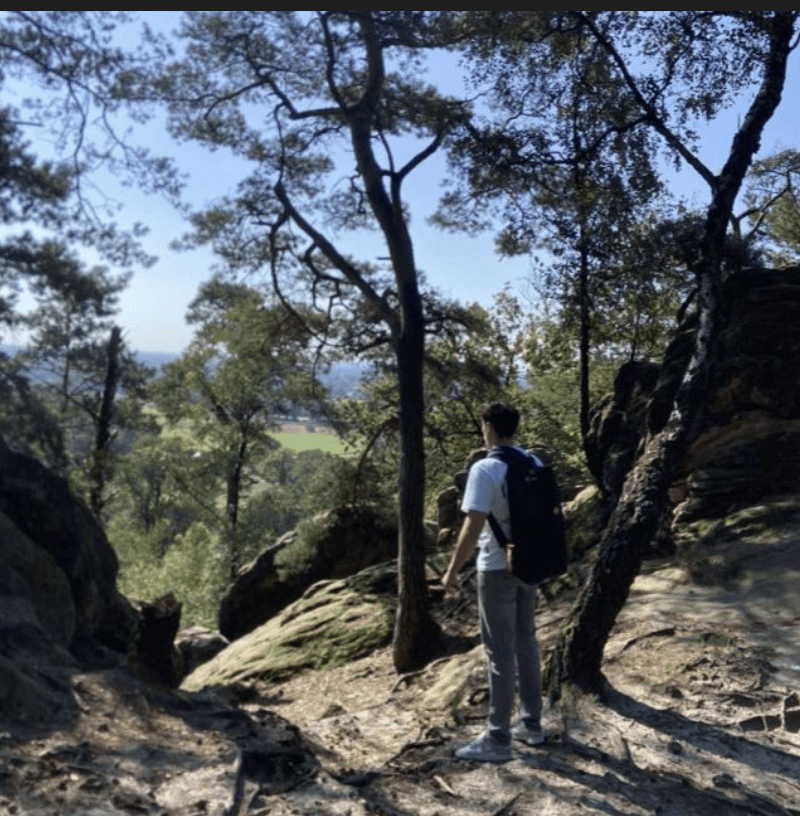 woman wearing black crew-neck shirt
