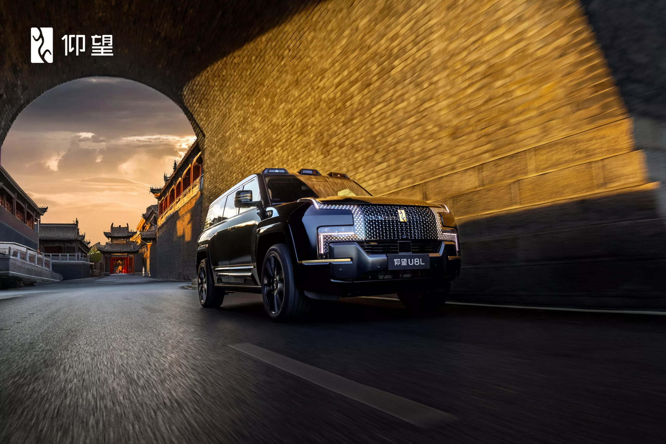 Luxury EVs from China, for the World.