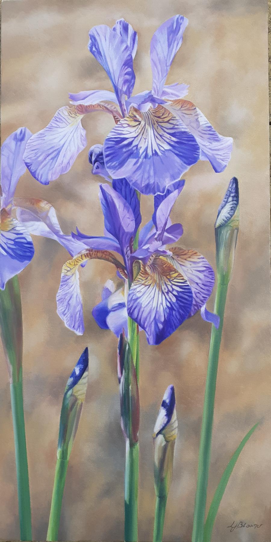 Lisa Jayne Art studio artwork