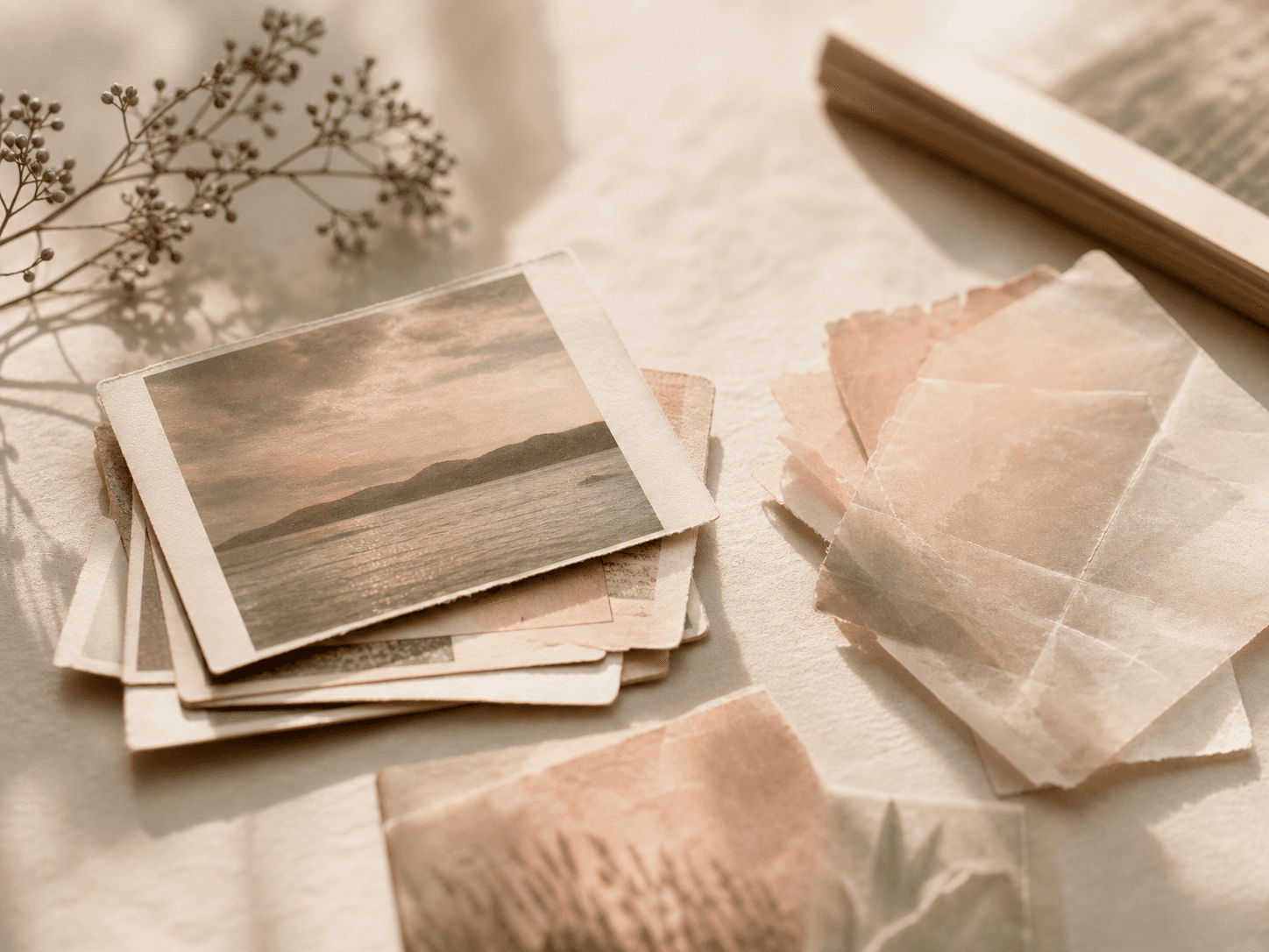 Editorial visual for Why Some Memories Last Forever (While Others Disappear).