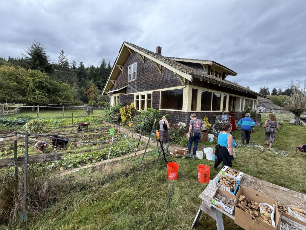 An afternoon at Cowan Ranch, gardening and gathering produce